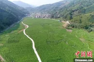 “江南缫丝”扎根石漠荒山 广西边境小县“破茧重生”