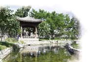 “小织补”激活城市更新