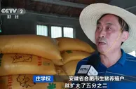 猪肉价格大跌！养一头猪亏500元，接下来怎么走？