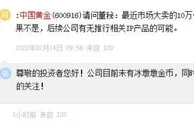 中国黄金称目前未有冰墩墩金币