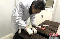 浙江常山胡柚种子“太空旅行”归来 促富民产业发展