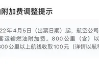 国内航线长途燃油附加费涨到100元 高于部分航线票价
