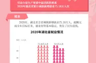 数据图解丨用数据看浴火重生的湖北经济