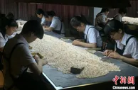 “中国珍珠之都”珍珠产量逐年下降 企业寻出路找对策