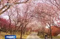 环保行动，留住最美风景