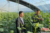“新农人”回乡 河北乡村振兴新变