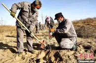 新疆兵团第一师阿拉尔市：治污“组合拳”让“纳污塘”变生态湿地