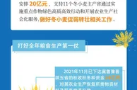 保障冬小麦稳产和夏粮丰收 中央财政累计安排补助资金达50亿元