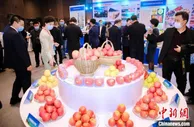 陕西特色农产品赴粤推介 开拓大湾区市场