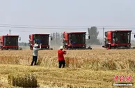 三部门：扩大三大粮食作物两类保险实施范围 保障粮食安全