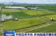 在希望的田野上·三夏时节 | 江西早稻迎来丰收 多地陆续开镰收割