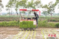 两部门：完善优化农机购置补贴 推广应用北斗导航智能终端