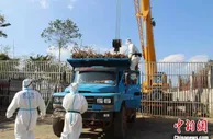 云南清水河边检站助力3万余吨境外甘蔗顺利通关
