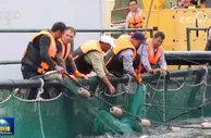 【走进乡村看小康】发展特色产业 助力农民增收