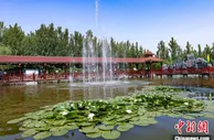 河北邢台：乡村变景区 “美丽经济”带动2.8万余户村民增收