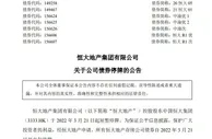 中国恒大股票停牌 恒大地产系列公司债券停牌