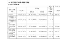 V观财报｜紫晶存储全年亏逾2亿！审计机构“无法表示意见”，股票已被*ST