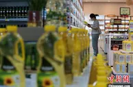 (奋进新征程 建功新时代·老区新貌)中国北方小商品之都临沂 一根网线“买卖全球”