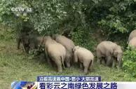 沿着高速看中国丨走思小、大丽高速 看彩云之南绿色发展之路