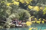“多点开花” 小众目的地、中西部受欢迎