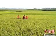 广西初步圈定富硒土壤7.57万平方公里 面积为全国之最