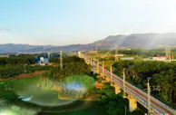 中老铁路中国段：一条留住绿水青山的生态之路