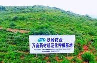 以岭药业中药材：从源头保证药品质量全链条助力乡村振兴