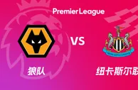 盘口分析：狼队 VS 纽卡斯尔联