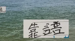 还是巴西外援实在！第19轮前4名巴西外援都进球 海港还是2个人GOAL