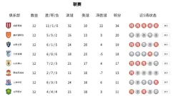 中超积分榜：蓉城半程冠军14分领跑 海港仅高出降级区3分