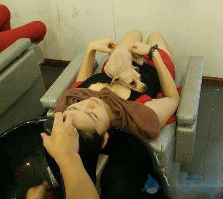 玩家分享：看看汪星人的幸福生活，感觉做人好难