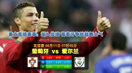赛事推荐: 爱尔兰 VS 葡萄牙