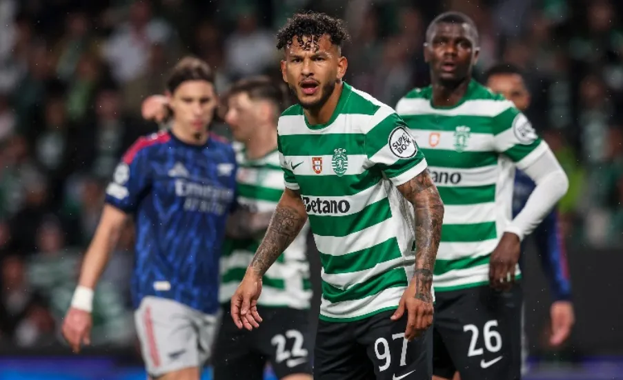 Can Sporting Finally Explode at Home? Or Will Tondela Pull Off the Impossible Survival Shock!