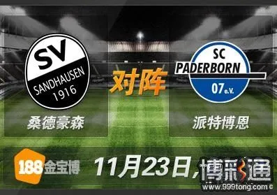 桑德豪森 VS 派特博恩.JPG