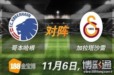 哥本哈根VS加拉塔萨雷.JPG