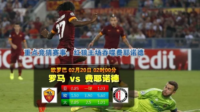 玩球预告：2015年2月20日 欧联杯 1/16决赛 罗马vs费耶诺德直播
