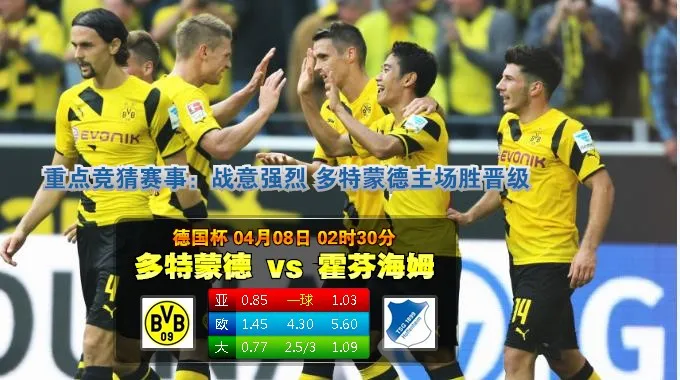 焦点赛事：2015年4月8日 德国杯 多特蒙德vs霍芬海姆直播