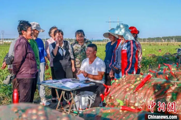 资料图：屯留区辣椒丰收。　李红卫 摄