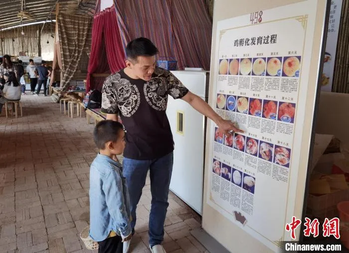 在甘肃榆中养鸡的台商孙永瑞，他正在自家的“好鲜生农场”给前来参观的小朋友讲解小鸡孵化的过程。(资料图) 丁思 摄