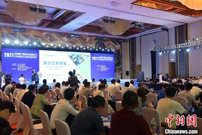 “互联网产业知名企业海口行”2021专场招商推介会现场。　符宇群 摄