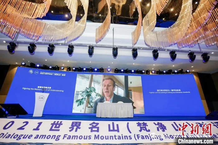 图为海外专家为山地温泉康养旅游打造建言献策。　主办方供图