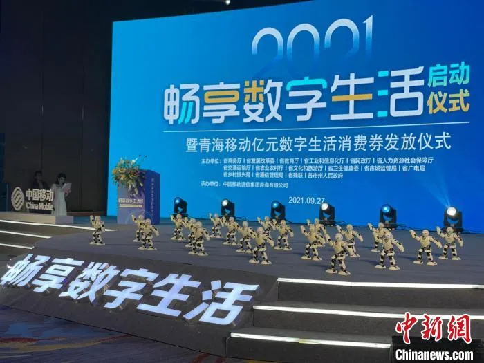 图为机器人舞蹈展示。　孙睿 摄