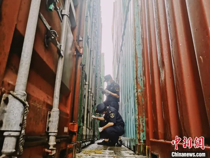 天津东疆海关监督退运禁止进口“洋垃圾”1099吨。 天津海关供图 天津东疆海关监督退运禁止进口“洋垃圾”1099吨。 天津海关供图