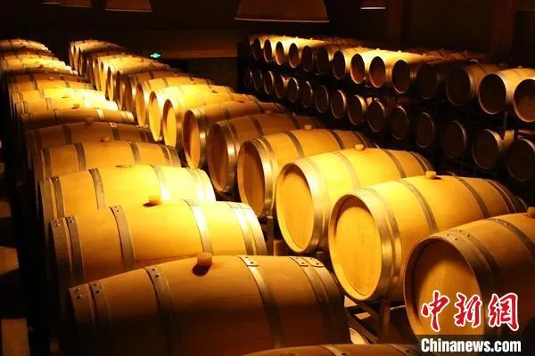 鄯善县楼兰酒庄地下酒窖。　陶拴科 摄