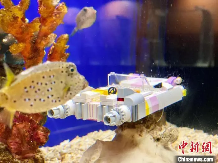 广州正佳极地海洋世界推出海底积木迷你场景 赖昆明 摄