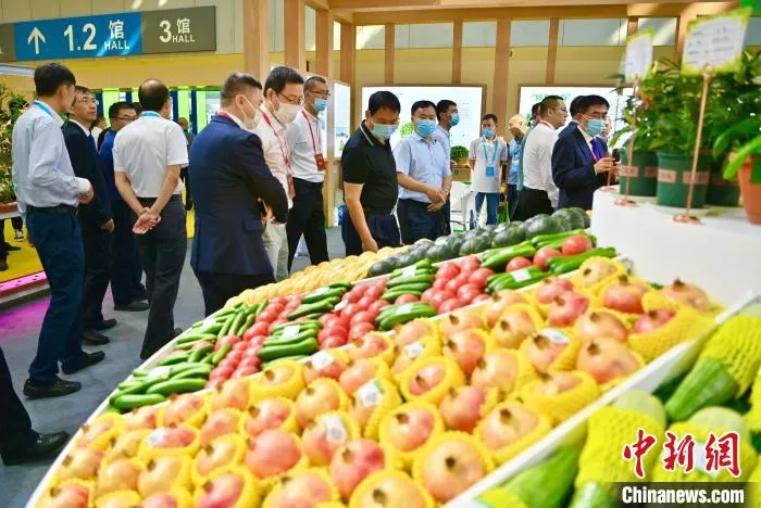 参会嘉宾在参观宿迁农产品。 宿迁市委宣传部供图 参会嘉宾在参观宿迁农产品。 宿迁市委宣传部供图