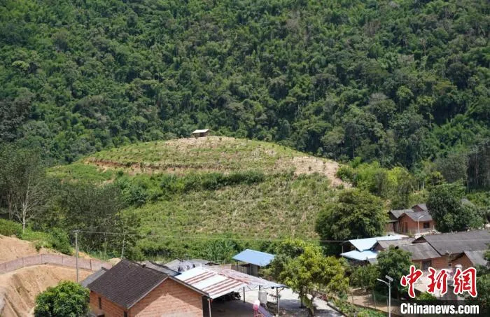 图为“消碳庄园”落地在倒淌箐村。　缪超 摄