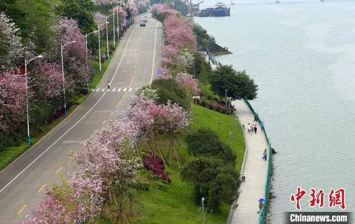 资料图:柳江沿岸风景。 朱柳融 摄 资料图:柳江沿岸风景。 朱柳融 摄