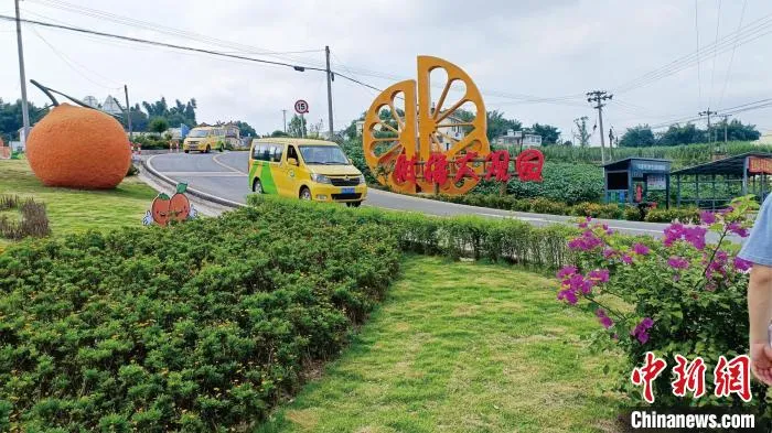 “小黄车”行驶在四川乡村公路上。四川省交通运输厅道路运输管理局供图 “小黄车”行驶在四川乡村公路上。四川省交通运输厅道路运输管理局供图
