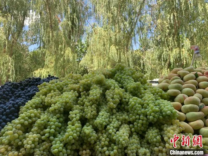新疆阿克苏正是一年好景时，沿街商铺里摆满各色产自当地的新鲜水果。　冀江彤 摄